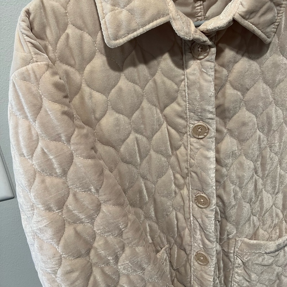 Quilted Jacket - Picture 3 of 4